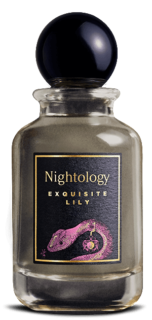 Exquisite lily